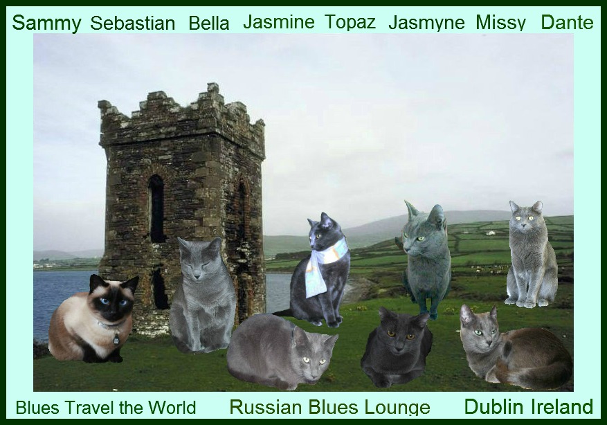 Missy and the Russian Blues Lounge in Dublin
