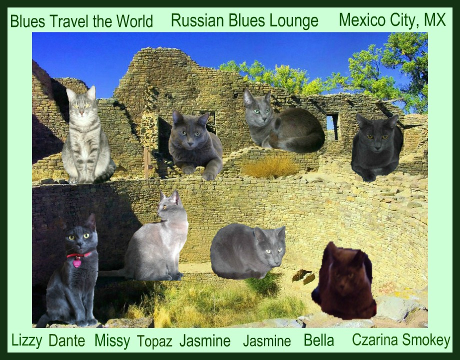 Missy and the Russian Blues Lounge in Mexico City