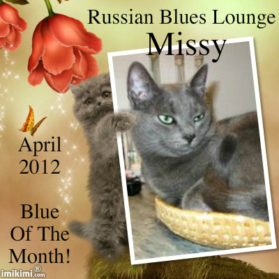 Missy Ms April of Russian Blues Lounge