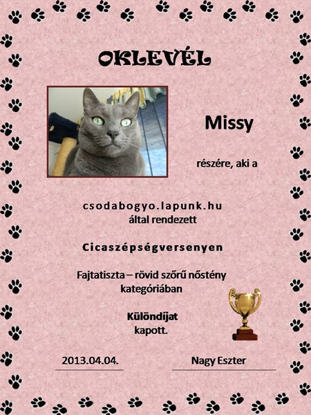 Missy's diploma